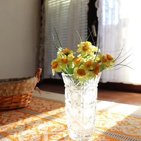 Franciska Tatil Evi